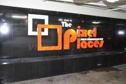 The Pixel Places